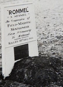 427F0A0B-1682-4CED-B6C5-0C72AAA1E2BA