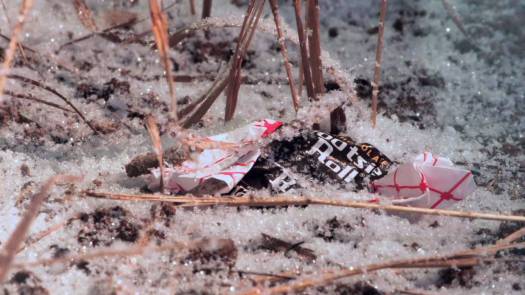 9E57E4B3-3305-4932-B788-372889C16F07