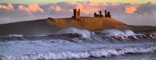 D08A883F-3BAF-40E7-90E1-2FFFA9235052